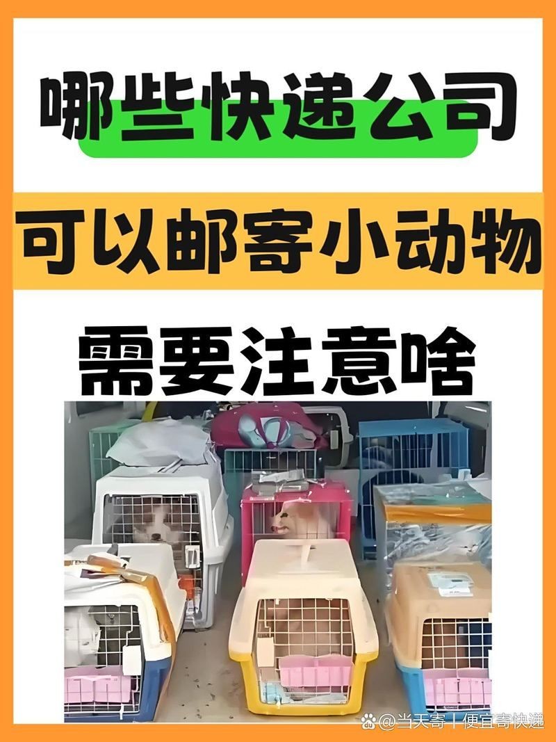 寄活物用哪個快遞公司，寄活物選哪家快遞公司