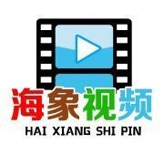 海象視頻，憨態(tài)可掬！野生海象群嬉戲覓食高清