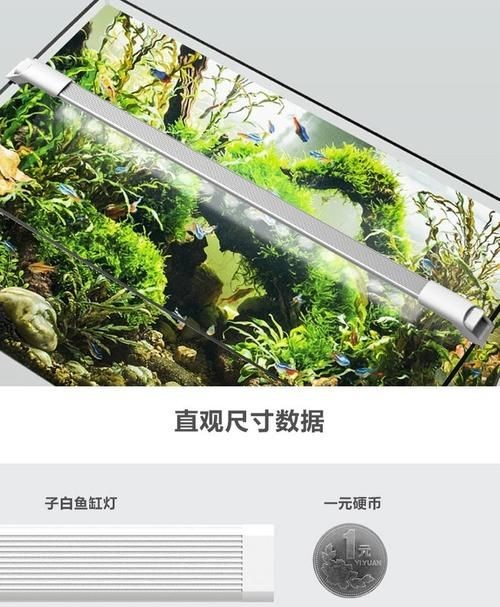 吉印水族箱燈圖片，吉印水族箱燈高清實拍 吉印水族箱燈圖片，吉印水族箱燈高清實拍 全國水族館企業名錄 第6張