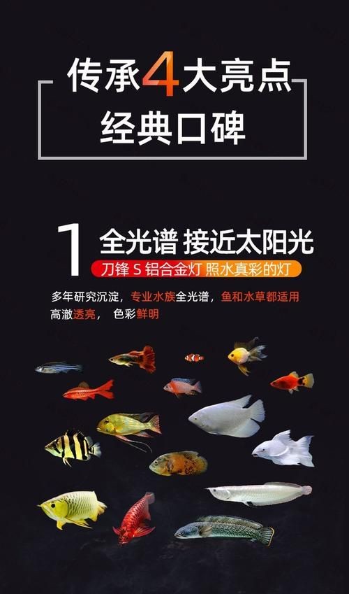 吉印水族箱燈圖片，吉印水族箱燈高清實拍 吉印水族箱燈圖片，吉印水族箱燈高清實拍 全國水族館企業名錄 第11張