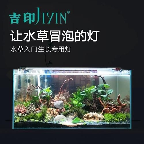 吉印水族箱燈圖片，吉印水族箱燈高清實拍 吉印水族箱燈圖片，吉印水族箱燈高清實拍 全國水族館企業名錄 第27張