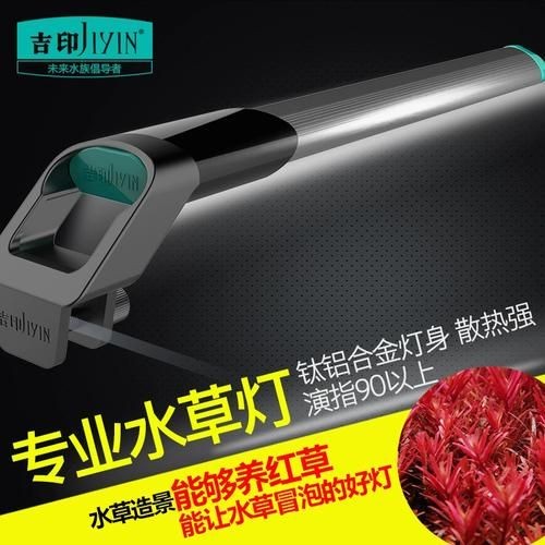 吉印水族箱燈圖片，吉印水族箱燈高清實拍 吉印水族箱燈圖片，吉印水族箱燈高清實拍 全國水族館企業名錄 第25張