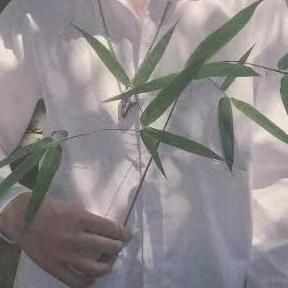 河里常見的小魚，盤點｜淡水河畔最常見的10種小魚