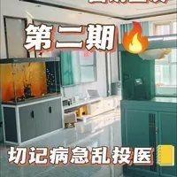 虎魚(yú)交叉感染怎么治療，實(shí)用指南，虎魚(yú)交叉感染的有效治療方案解析 虎魚(yú)交叉感染怎么治療，實(shí)用指南，虎魚(yú)交叉感染的有效治療方案解析 龍魚(yú)百科 第7張