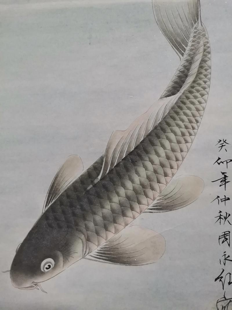 國畫鯉魚圖片大全，國畫鯉魚藝術鑒賞，經典作品與高清