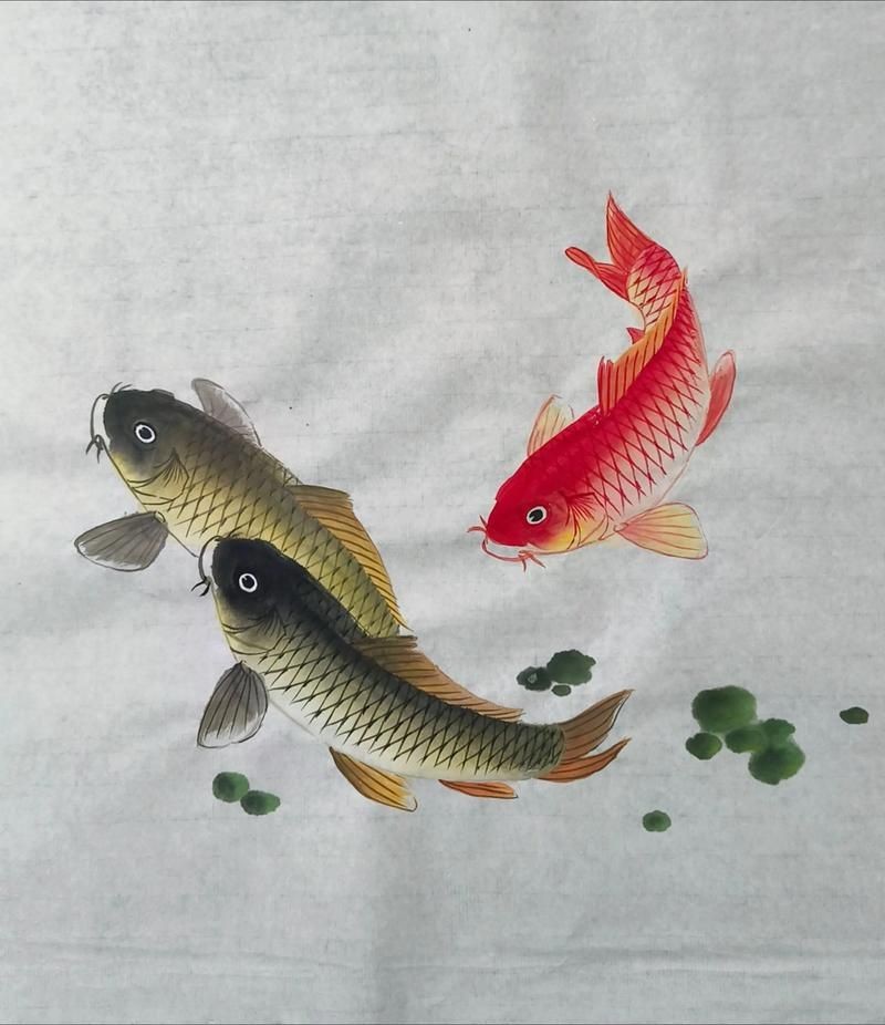 國畫鯉魚圖片大全，國畫鯉魚藝術鑒賞，經典作品與高清