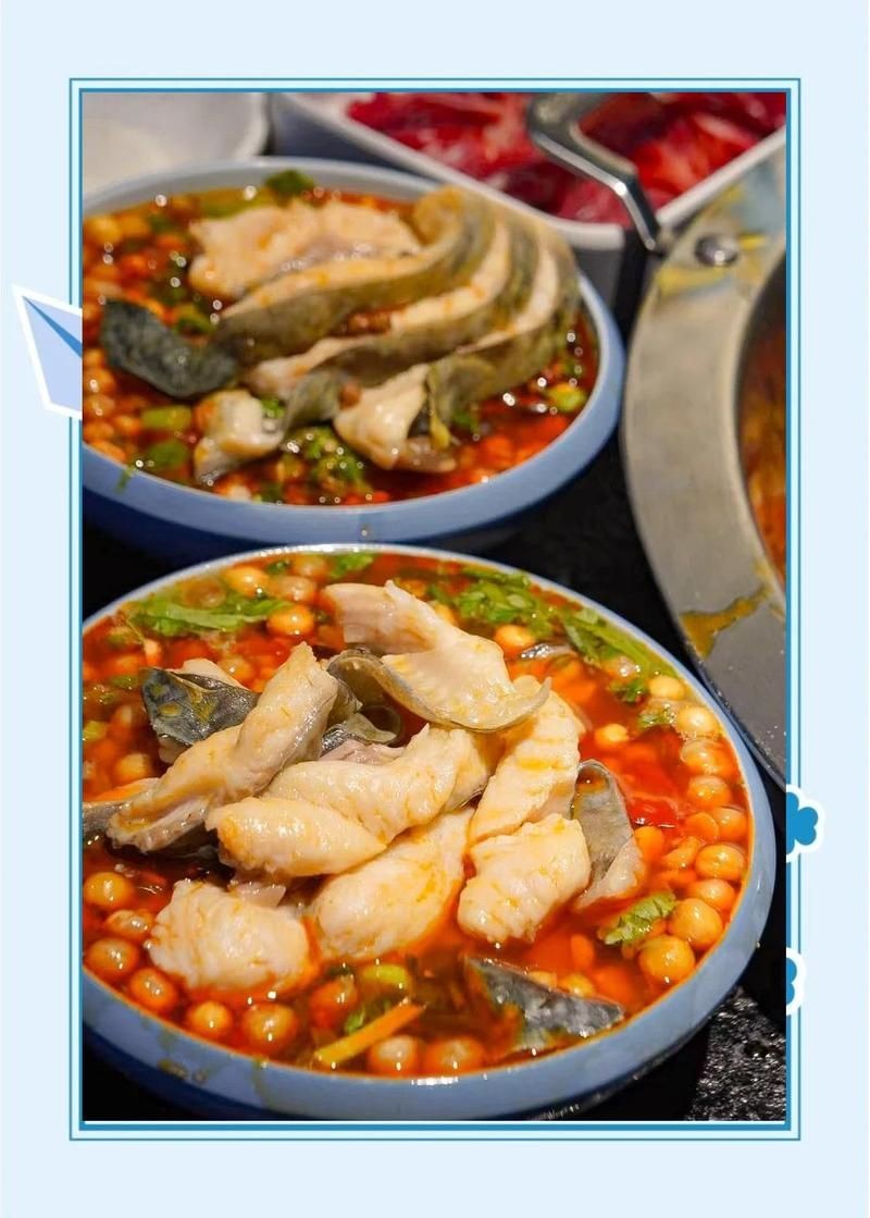 安康龍魚店，安康專業(yè)龍魚