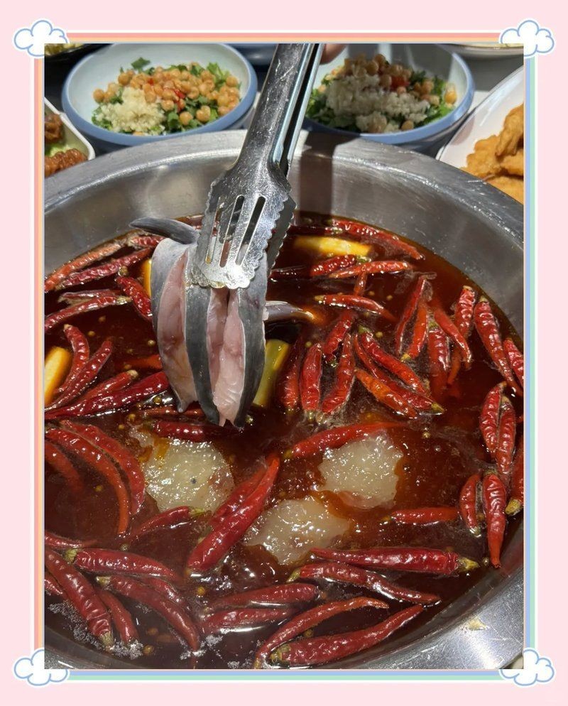 安康龍魚店，安康專業(yè)龍魚