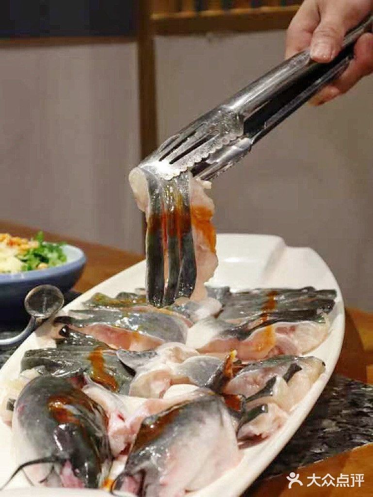 安康龍魚店，安康專業(yè)龍魚