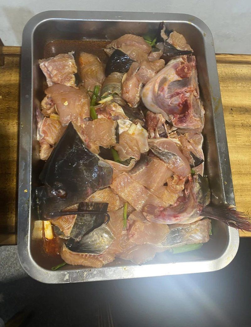 安康龍魚店，安康專業(yè)龍魚