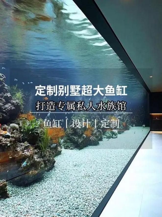 聚龍殿大型水族箱，震撼！探秘聚龍殿