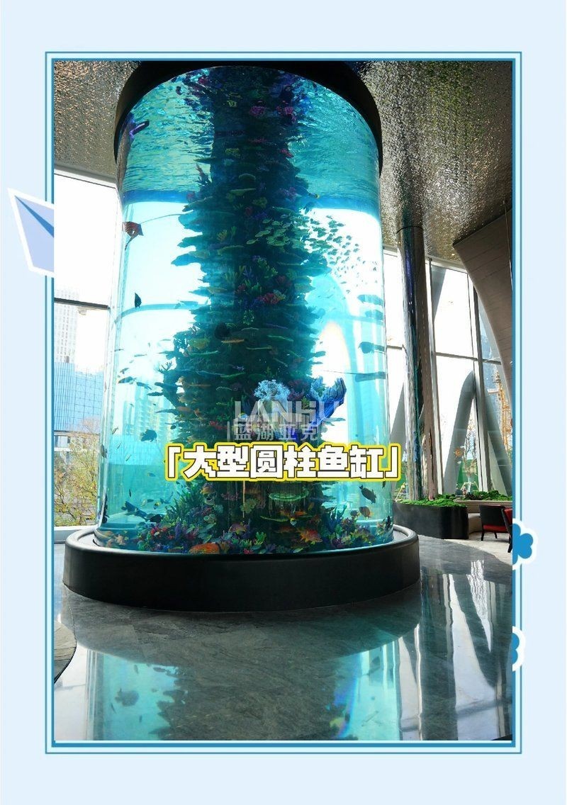 聚龍殿大型水族箱，震撼！探秘聚龍殿