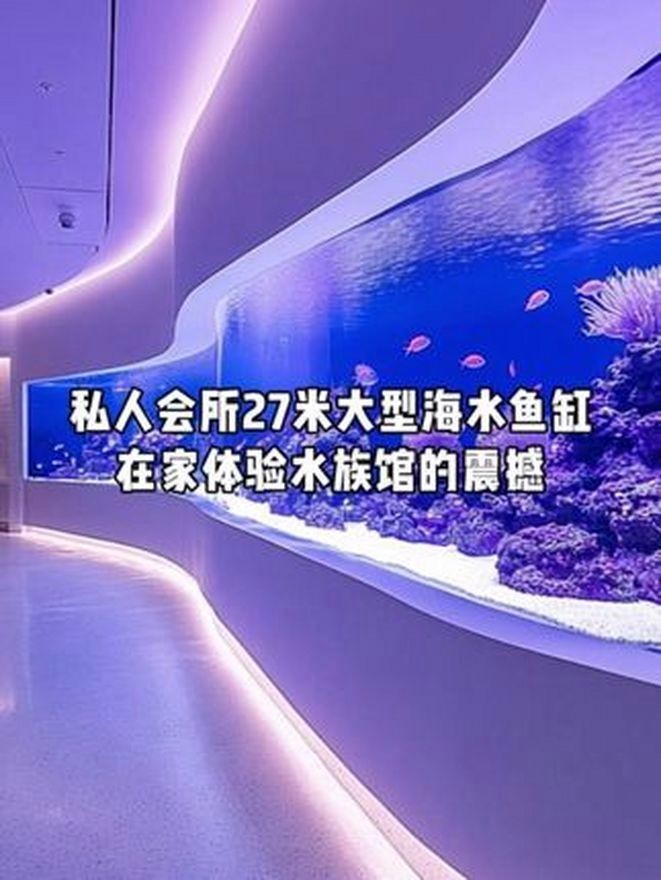 聚龍殿大型水族箱，震撼！探秘聚龍殿