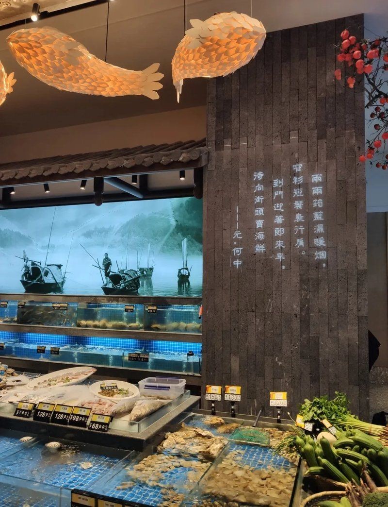 南通龍魚店，南通精品龍魚專賣店，觀賞魚養(yǎng)護(hù)與
