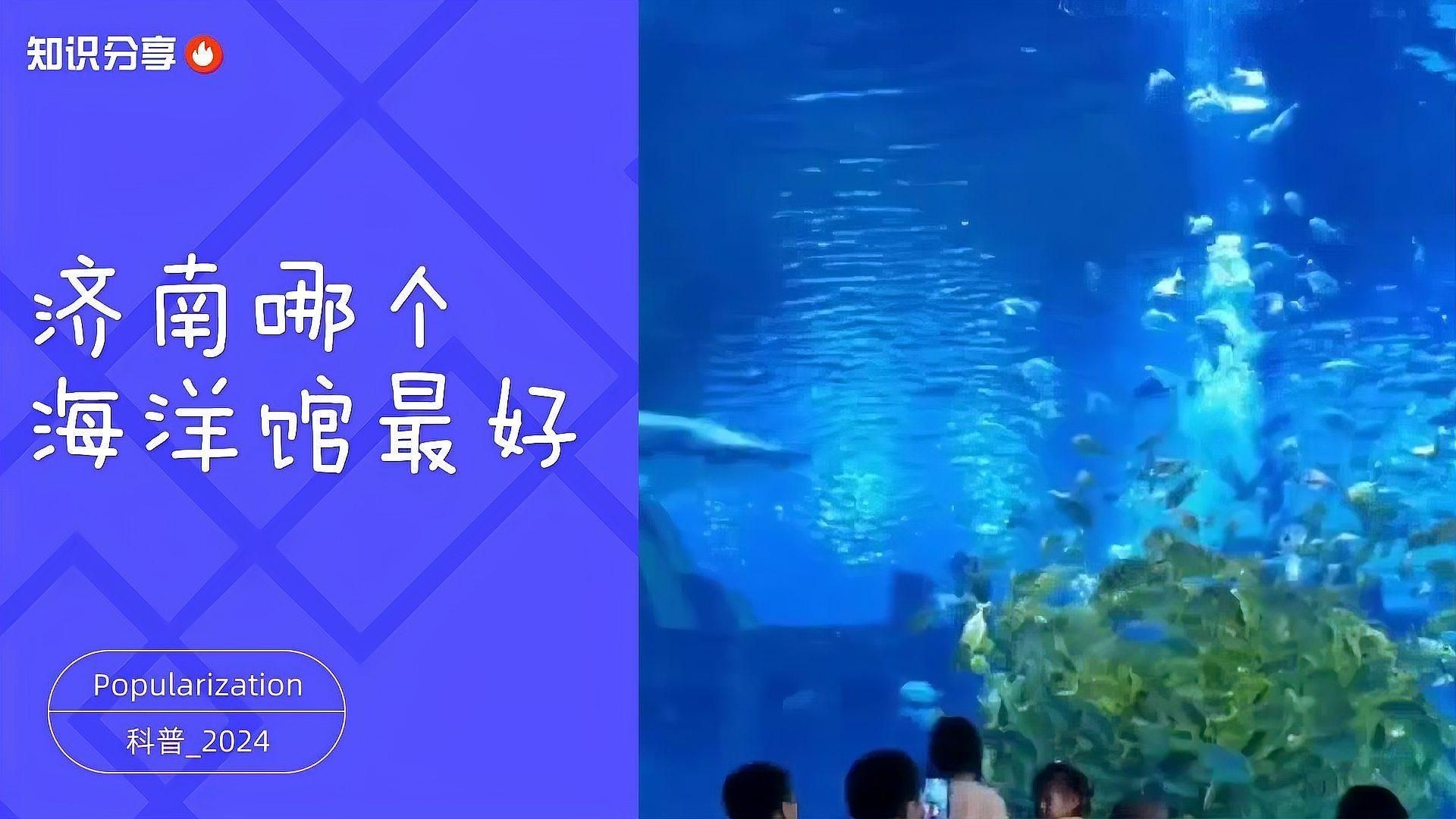 濟南哪個海洋館最好，濟南必打卡！口碑最佳的