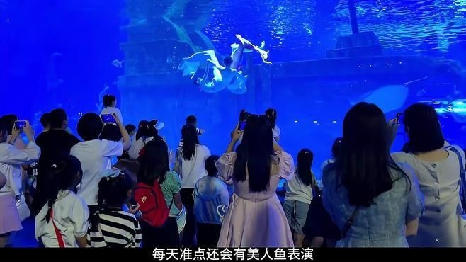 濟南哪個海洋館最好，濟南必打卡！口碑最佳的