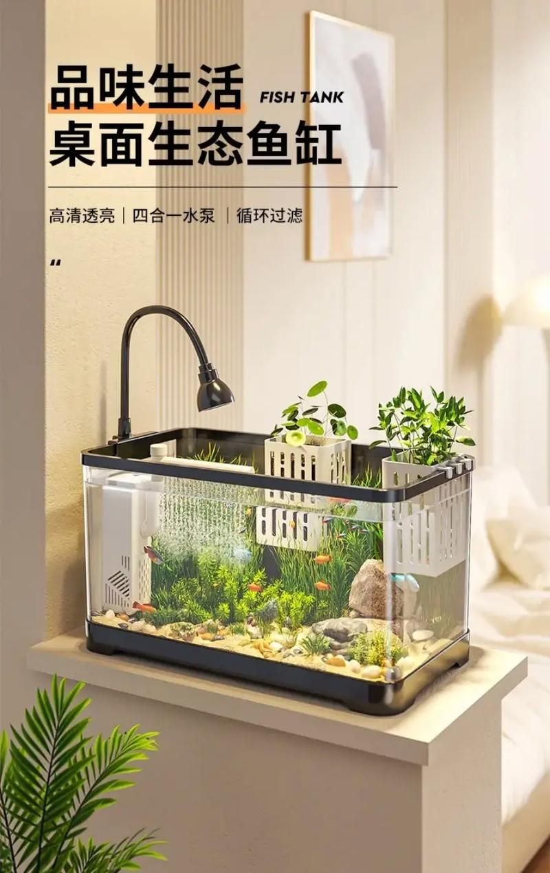 家庭小型魚缸圖片，精選家庭小型
