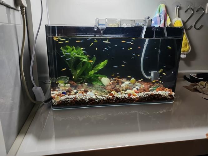 家庭小型魚缸圖片，精選家庭小型