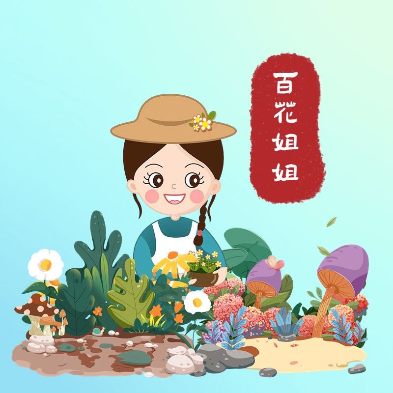 家庭小型魚缸圖片，精選家庭小型