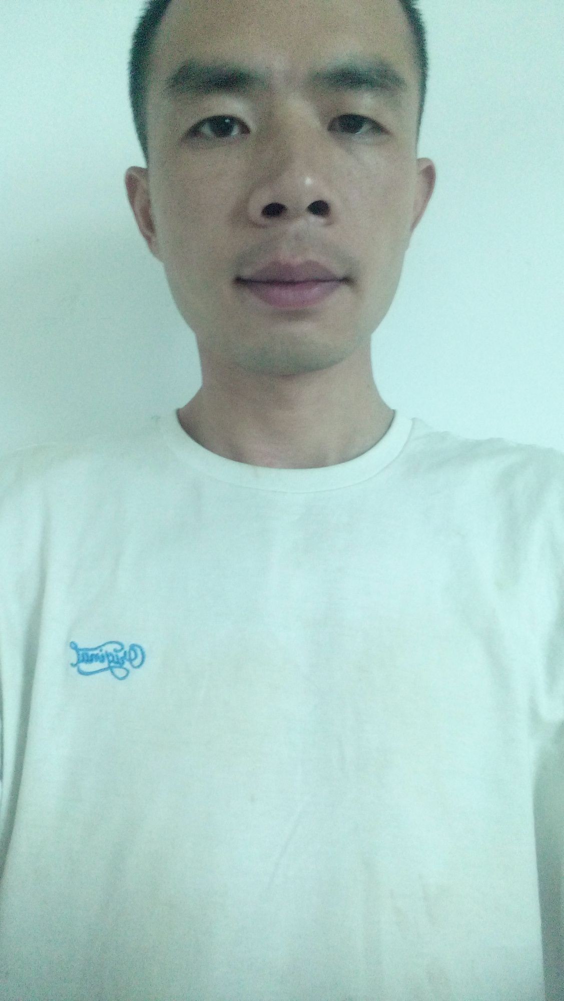 各種鯊魚圖片，震撼視覺！超全鯊魚種類高清大圖