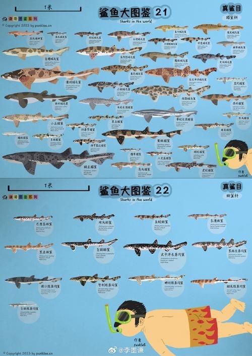 紅龍魚爛鱗能否自愈？，紅龍魚爛鱗片能否自愈