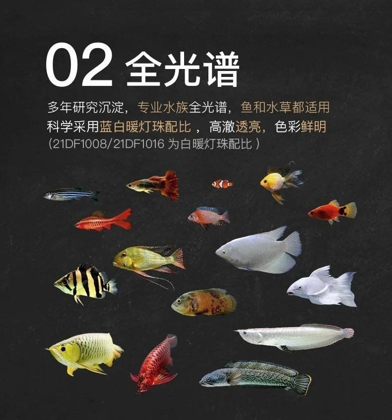 吉印水草燈尺寸，吉印水草燈尺寸詳解，適配不同場景的規格參數指南