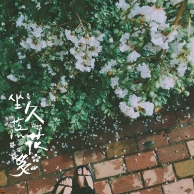 家里養白色錦鯉吉利嗎，解析居家養護白色錦鯉
