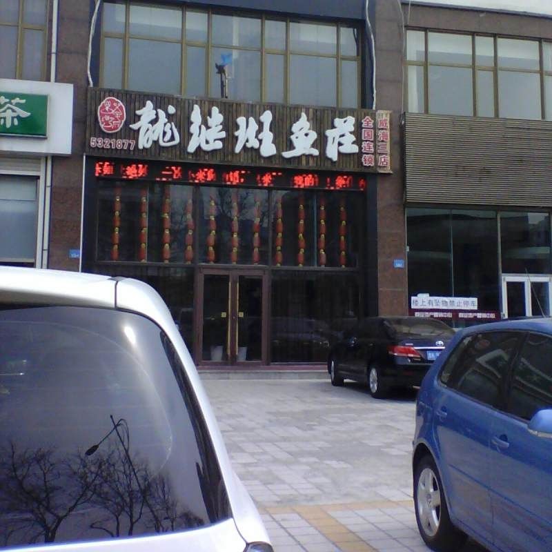 威海龍魚店，威海龍魚專賣店｜精品龍魚繁育·觀賞魚一站式選購