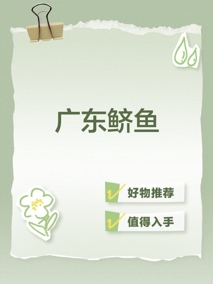 廣東鱭魚的做法,廣東鱭魚的經典家常做法詳解 龍魚論壇 第10張 廣東鱭魚的做法,廣東鱭魚的經典家常做法詳解 廣東鱭魚的做法,廣東鱭魚的經典家常做法詳解 龍魚論壇 第10張