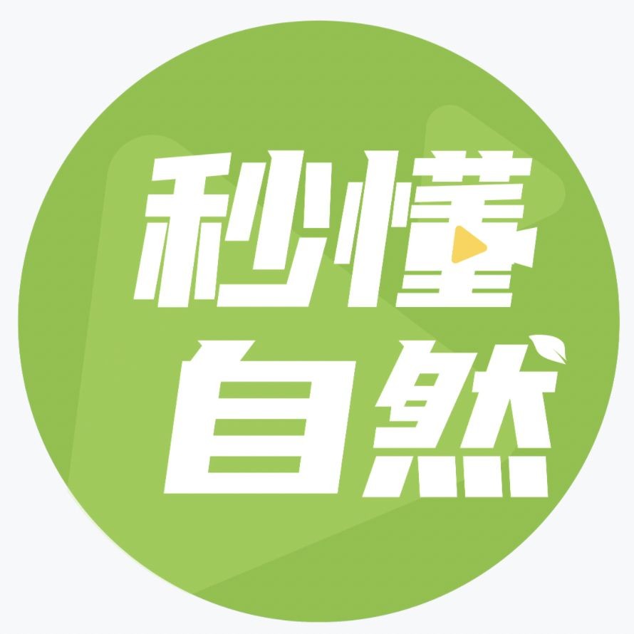 背金龍魚40厘米不爬背的原因是什么，深度解析，40厘米金龍魚拒爬背的六大核心