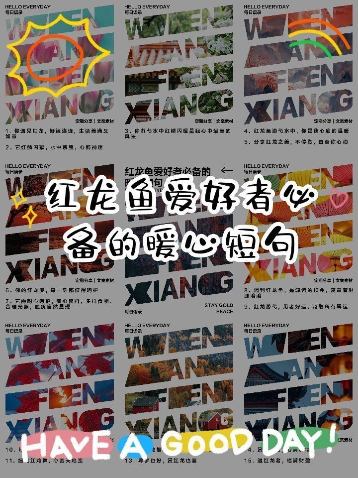 紅龍魚屏保壁紙，紅龍魚高清屏保壁紙——