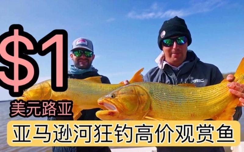 河虎魚(yú)多少錢(qián)一條，河虎魚(yú)市場(chǎng)價(jià)多少錢(qián)一條？