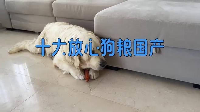 國產十大放心狗糧品牌排行榜，國產