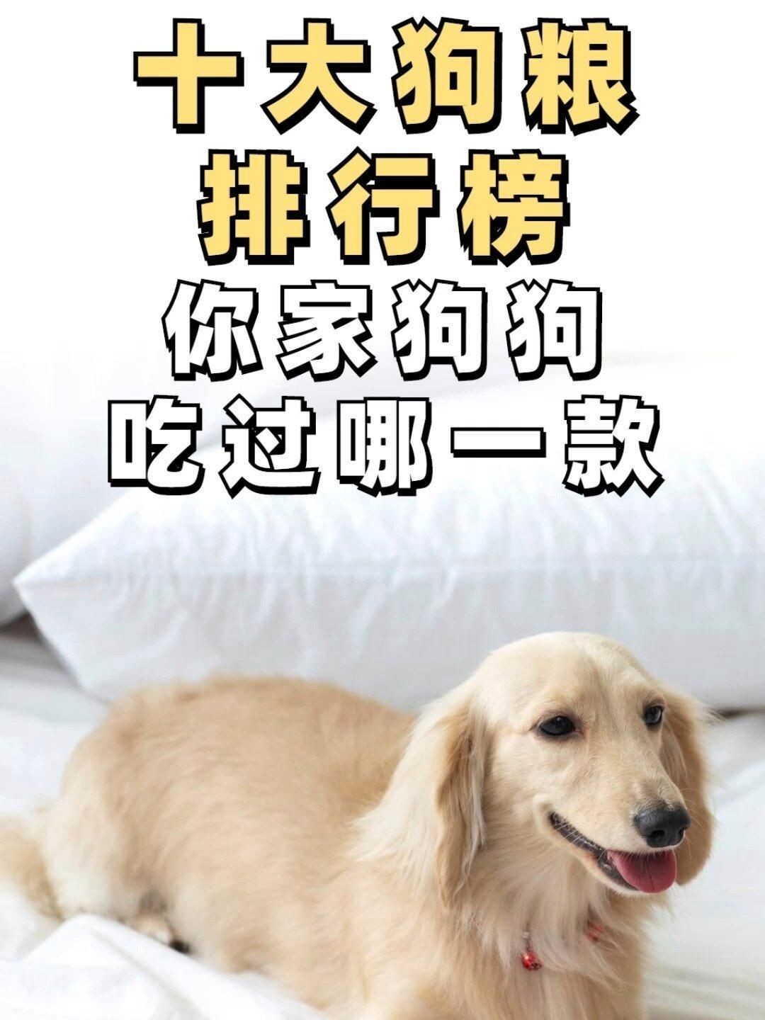 國產十大放心狗糧品牌排行榜，國產