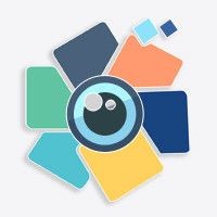 世界上最貴的魚排名，盤點全球