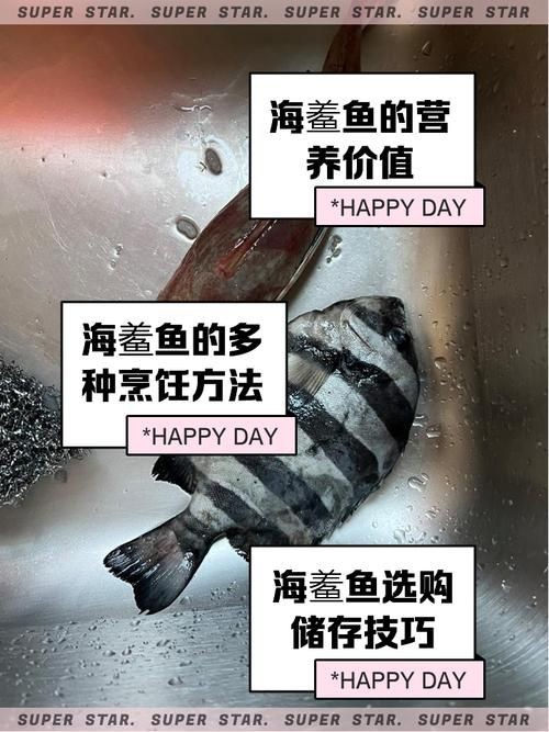 海和尚魚照片大全，海和尚魚高清實(shí)拍圖集，形態(tài)特征與生態(tài)影像全覽