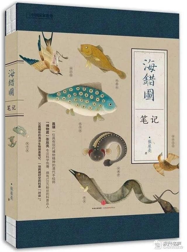 海和尚魚照片大全，海和尚魚高清實(shí)拍圖集，形態(tài)特征與生態(tài)影像全覽