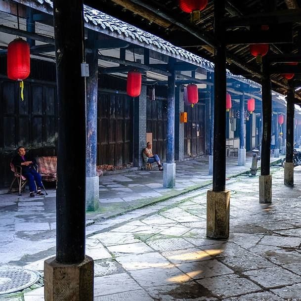 巨骨舌魚認主人嗎，揭秘！巨骨舌魚真的能認主人