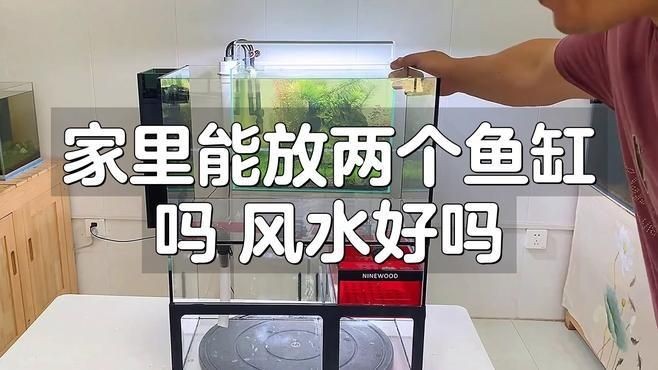 家中一大一小兩個魚缸可以嗎，家中擺放一大一小兩個魚缸是否