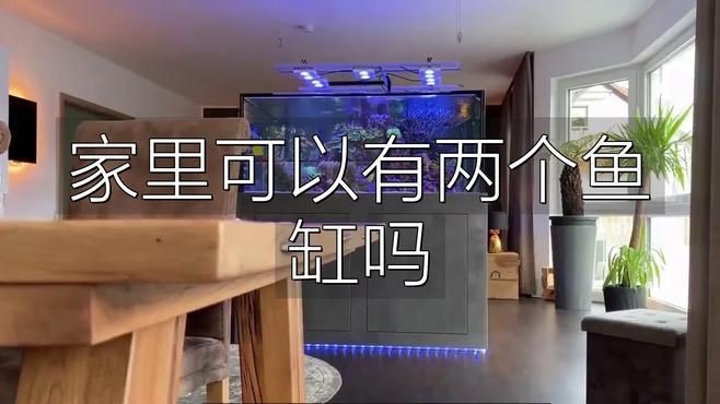 家中一大一小兩個魚缸可以嗎，家中擺放一大一小兩個魚缸是否