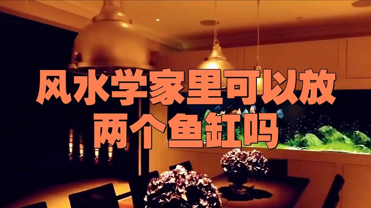 家中一大一小兩個魚缸可以嗎，家中擺放一大一小兩個魚缸是否