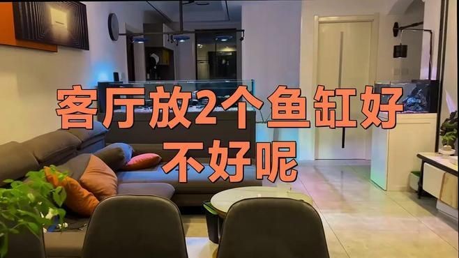 家中一大一小兩個魚缸可以嗎，家中擺放一大一小兩個魚缸是否