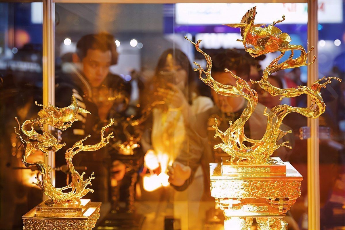 中衛(wèi)龍魚(yú)店，中衛(wèi)龍魚(yú)專賣店，精品觀賞魚(yú)繁育與銷售基地