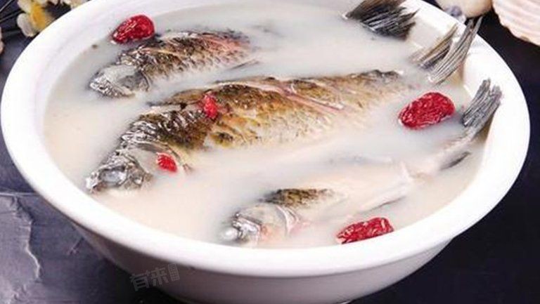 爛鰓病的魚(yú)還能吃嗎，患爛鰓病的魚(yú)究竟