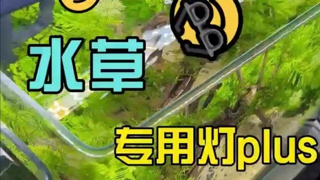 吉印水草燈led全光譜，吉印LED全光譜水草燈，打造水景生態(tài)專屬光源