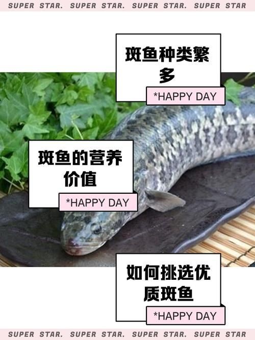 六角恐龍魚多久認主人，六角恐龍魚多久認主人，六角恐龍魚認主訓練30天打卡表