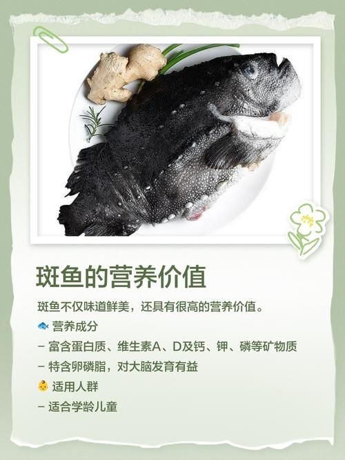 廣西斑魚(yú)圖片，廣西斑魚(yú)高清實(shí)拍圖——展現(xiàn)