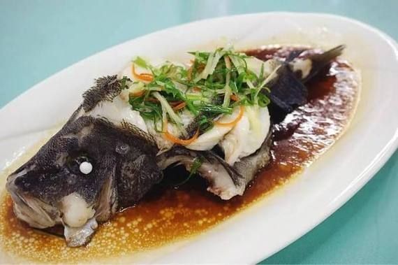 廣西斑魚(yú)圖片，廣西斑魚(yú)高清實(shí)拍圖——展現(xiàn)