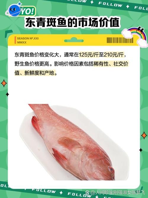 廣西斑魚(yú)圖片，廣西斑魚(yú)高清實(shí)拍圖——展現(xiàn)