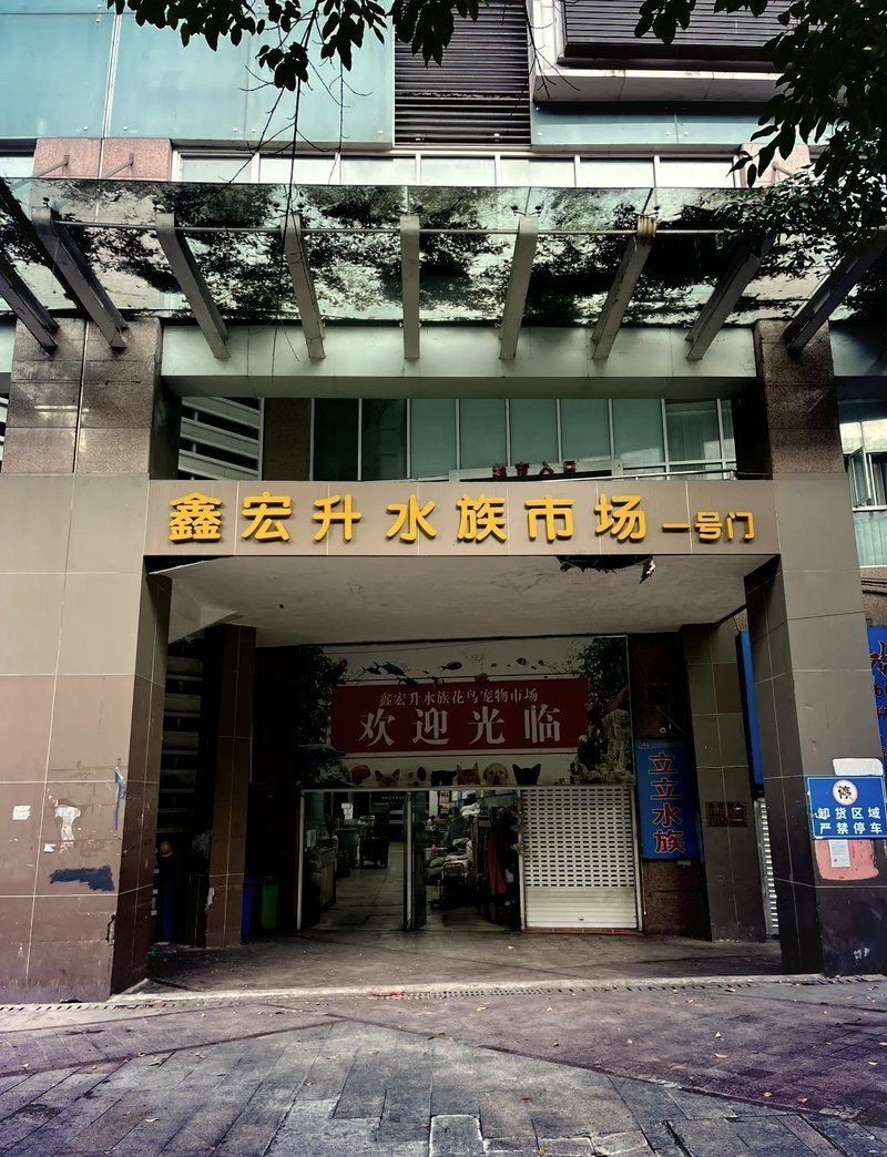 南平水族批發(fā)市場(chǎng)，南平專業(yè)水族批發(fā)交易市場(chǎng)全品類